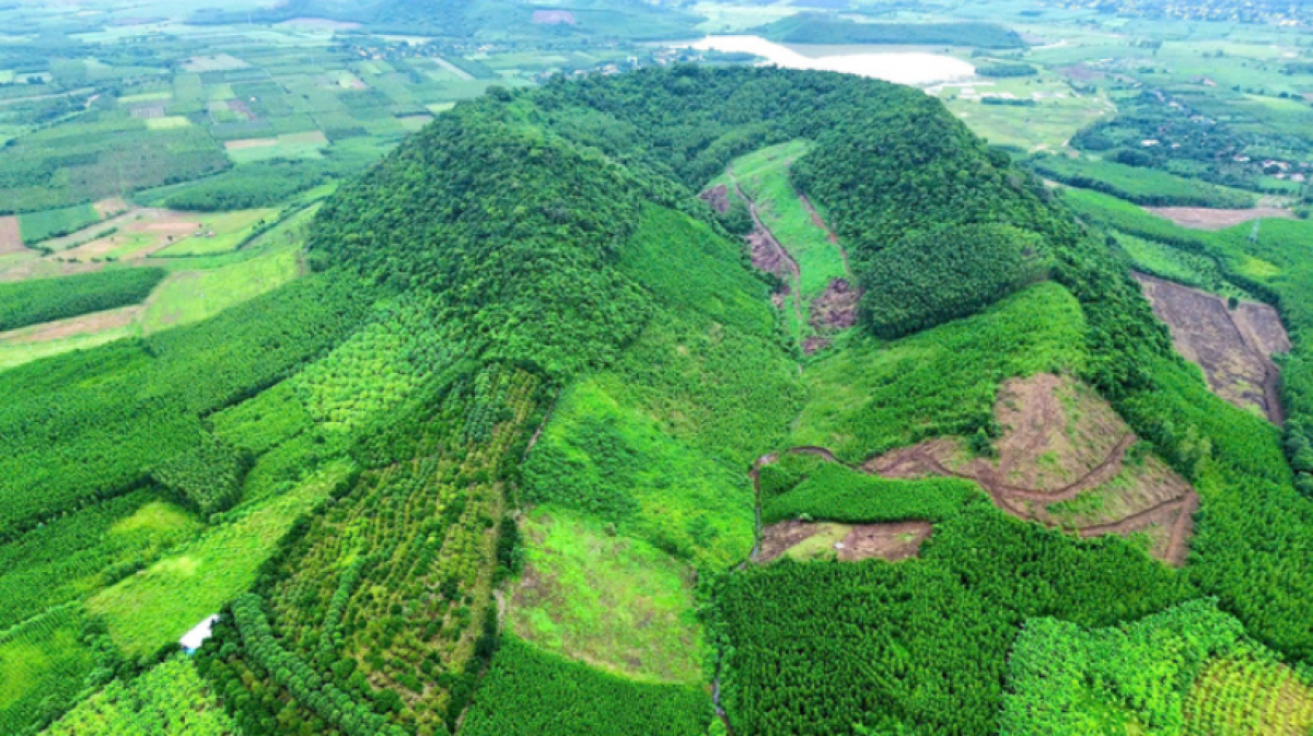 Cận cảnh núi lửa Mái Nhà, thôn Sơn Trường, xã Sơn Thành, tỉnh Đắk Lắk. (Nguồn: BQL Công viên Địa chất Phú Yên)
