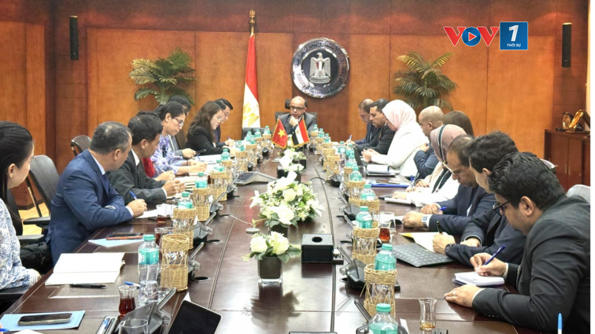 Tham vấn chính trị Việt Nam - Ai Cập lần thứ 11 (Ảnh: VOV Cairo)