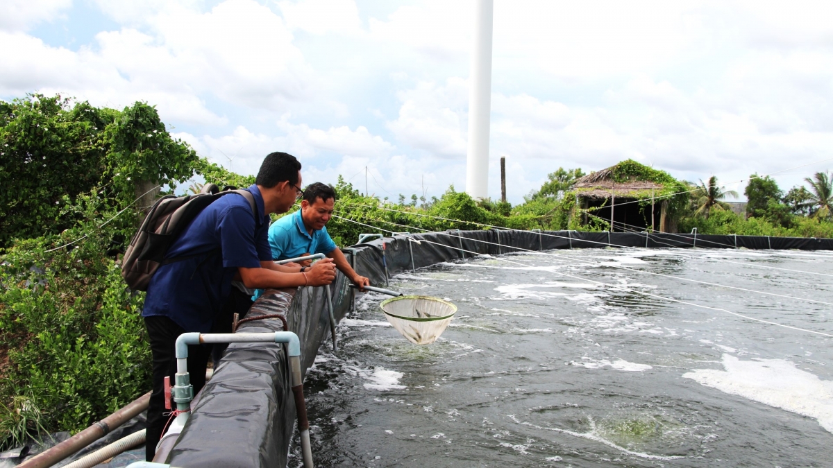 Chất thải nuôi trồng thủy sản được người dân đưa vào hệ thống Biogas