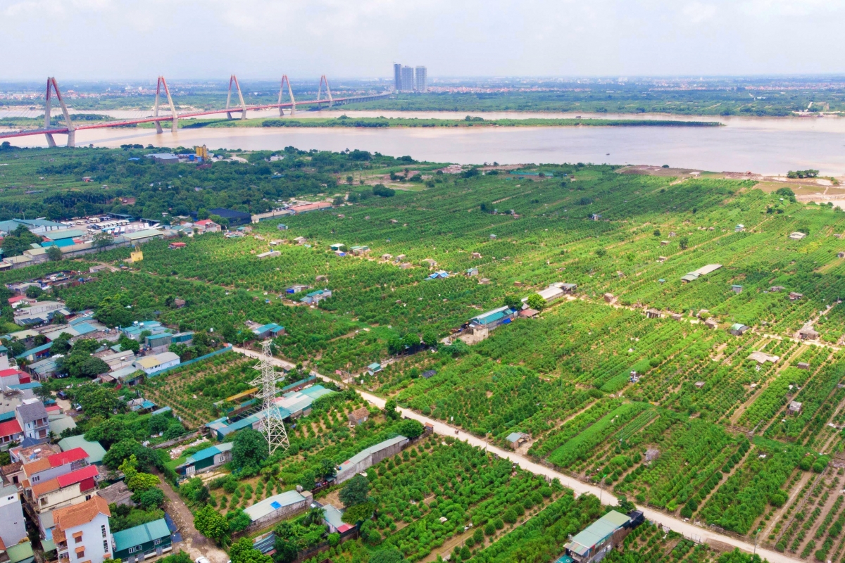 Nông nghiệp Hà Nội cụ thể hóa các nghị quyết chiến lược vào thực tiễn