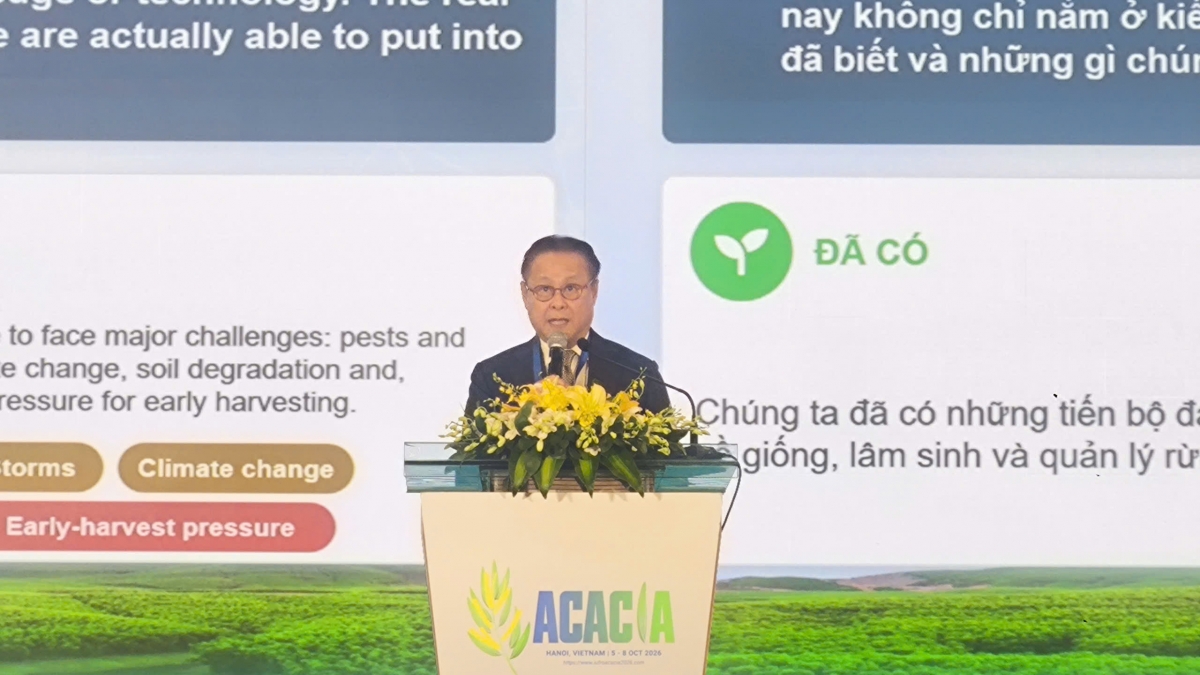 Ông Nguyễn Quốc Khanh, Chủ tịch Hiệp hội gỗ và lâm sản Việt Nam phát biểu