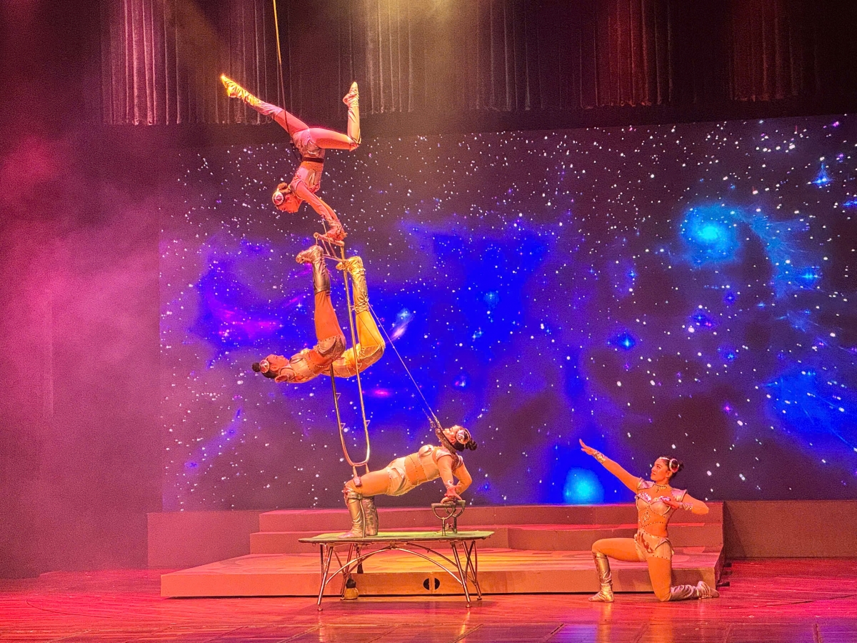 Đến với liên hoan, công chúng sẽ được thưởng thức nhiều loại hình nghệ thuật với các tác phẩm xuất sắc