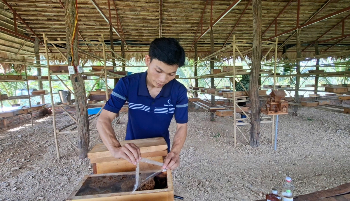 Mô hình nuôi ong dú lấy mật tại nông trại Sản Việt, xã Nam Ninh Hòa, tỉnh Khánh Hòa