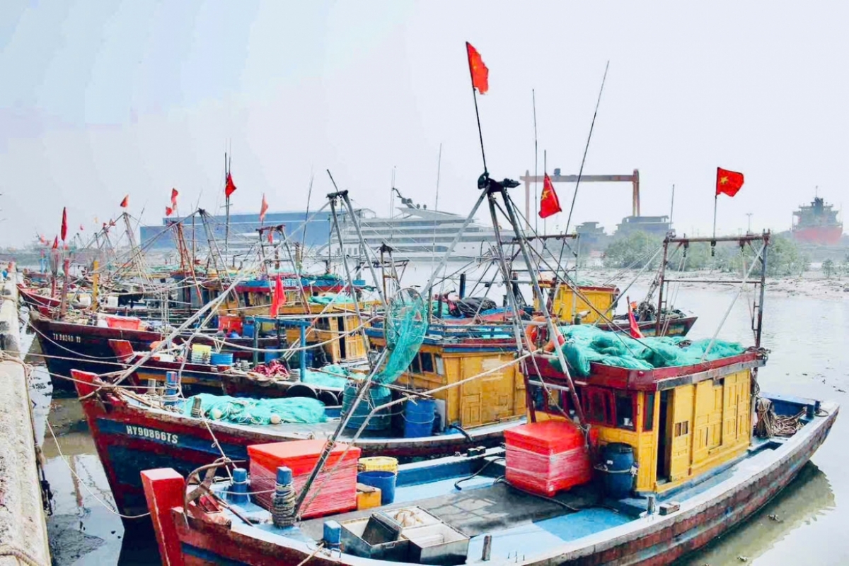 
Chương trình Dòng chảy Kinh tế phát sóng 13h25, ngày 20/10/2026: 
​​​​​- Hưng Yên tăng tốc, dồn lực phát triển kinh tế hướng biển.
-Cao điểm Hải quan lên kế hoạch trọng điểm phòng, chống buôn lậu, gian lận thương mại,
hàng giả, hàng nhái, ma túy, tiền chất, hàng tiêu dùng các tháng cuối năm 2026.
 