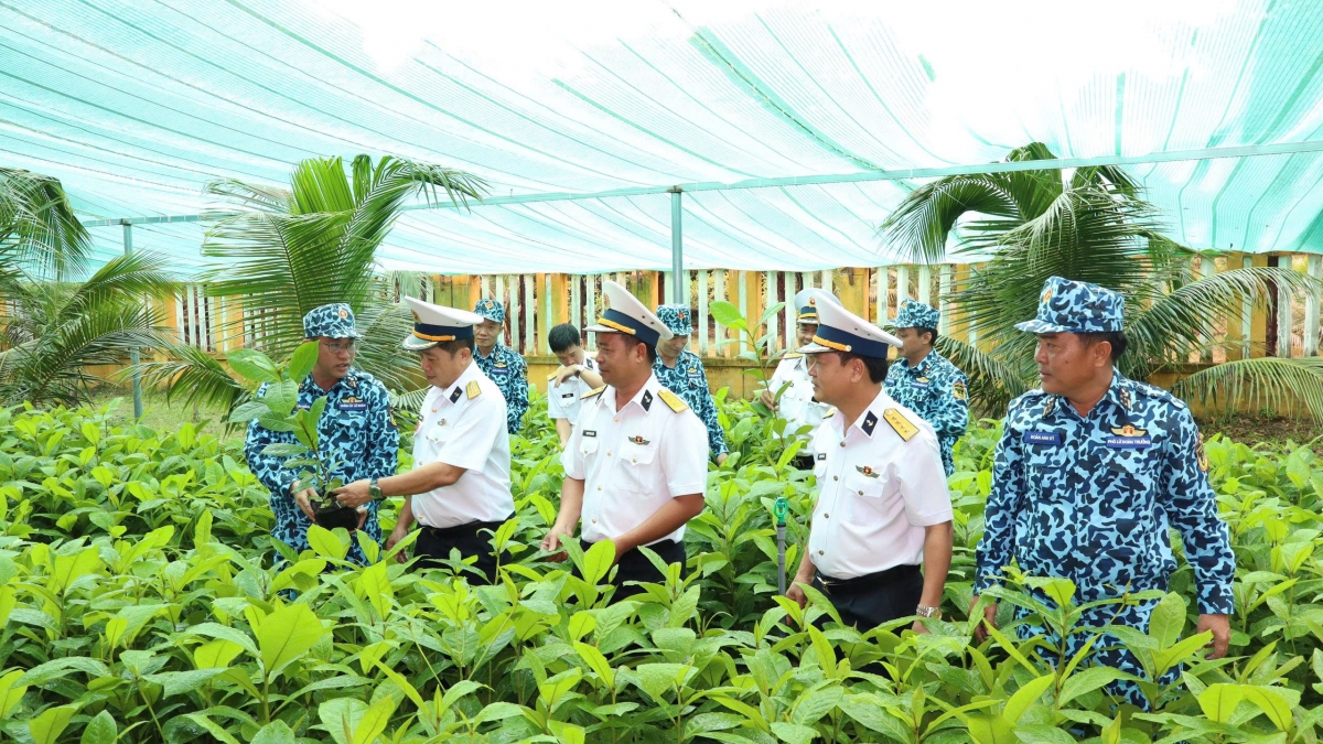 Các đại biểu kiểm tra chất lượng cây giống hỗ trợ Chương trình “Xanh hóa Trường Sa”