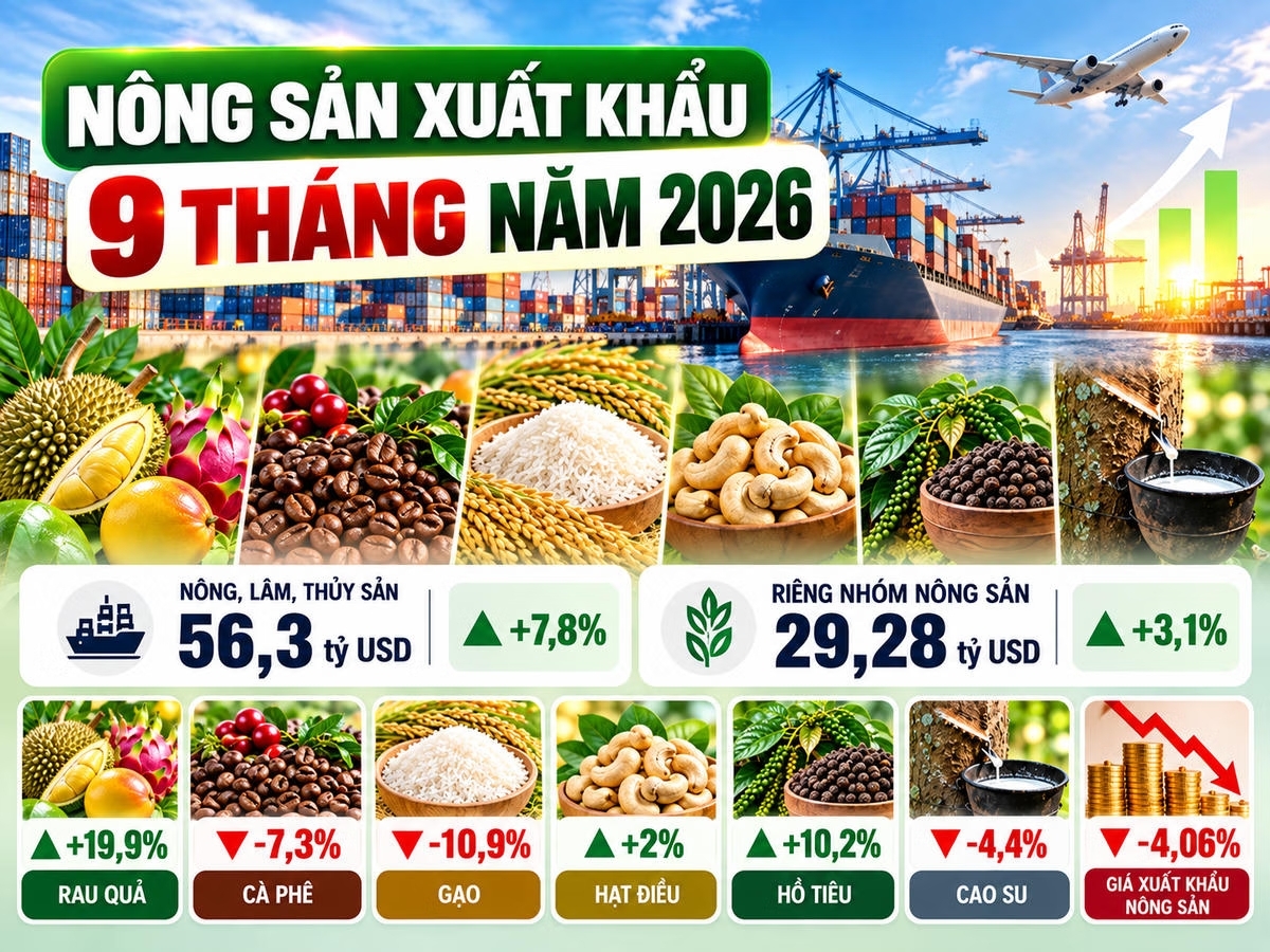 Tình hình xuất khẩu nông sản của nước ta 9 tháng 2026 ( ảnh có sử dụng AI)