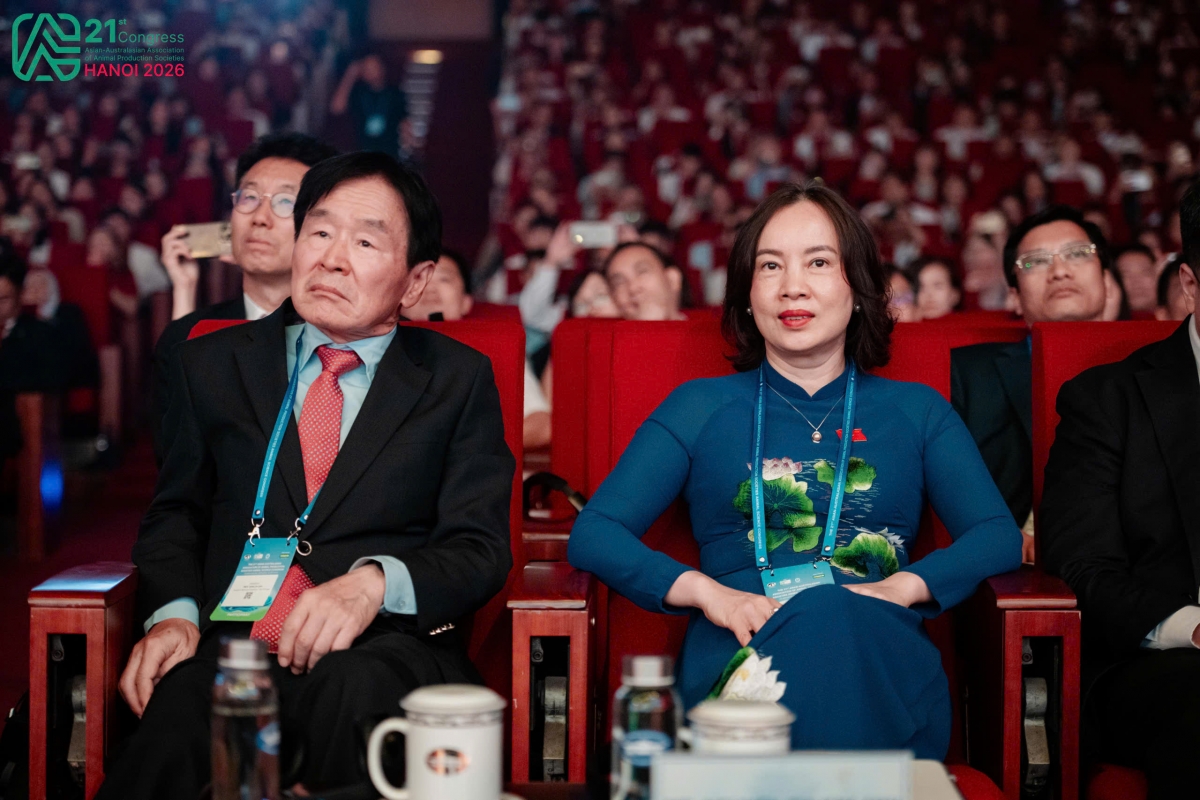 Các đại biểu tham gia hội nghị