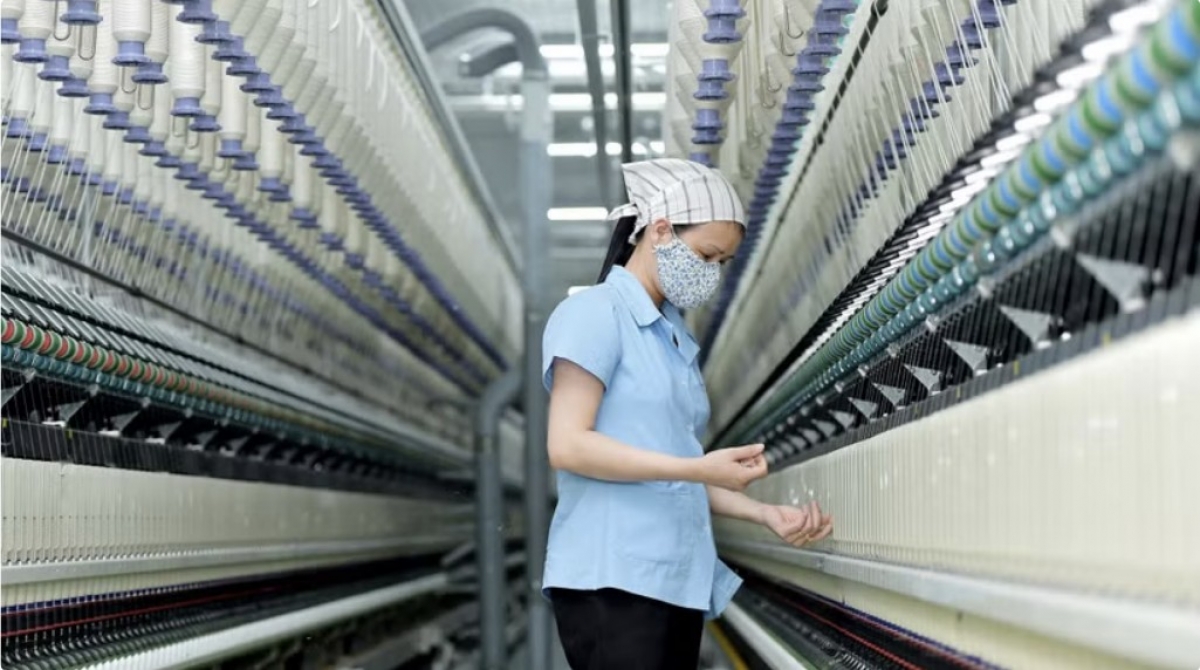 Standard Chartered hạ dự báo tăng trưởng GDP của Việt Nam xuống 6% năm 2024. (Ảnh: PV/Vietnam+)