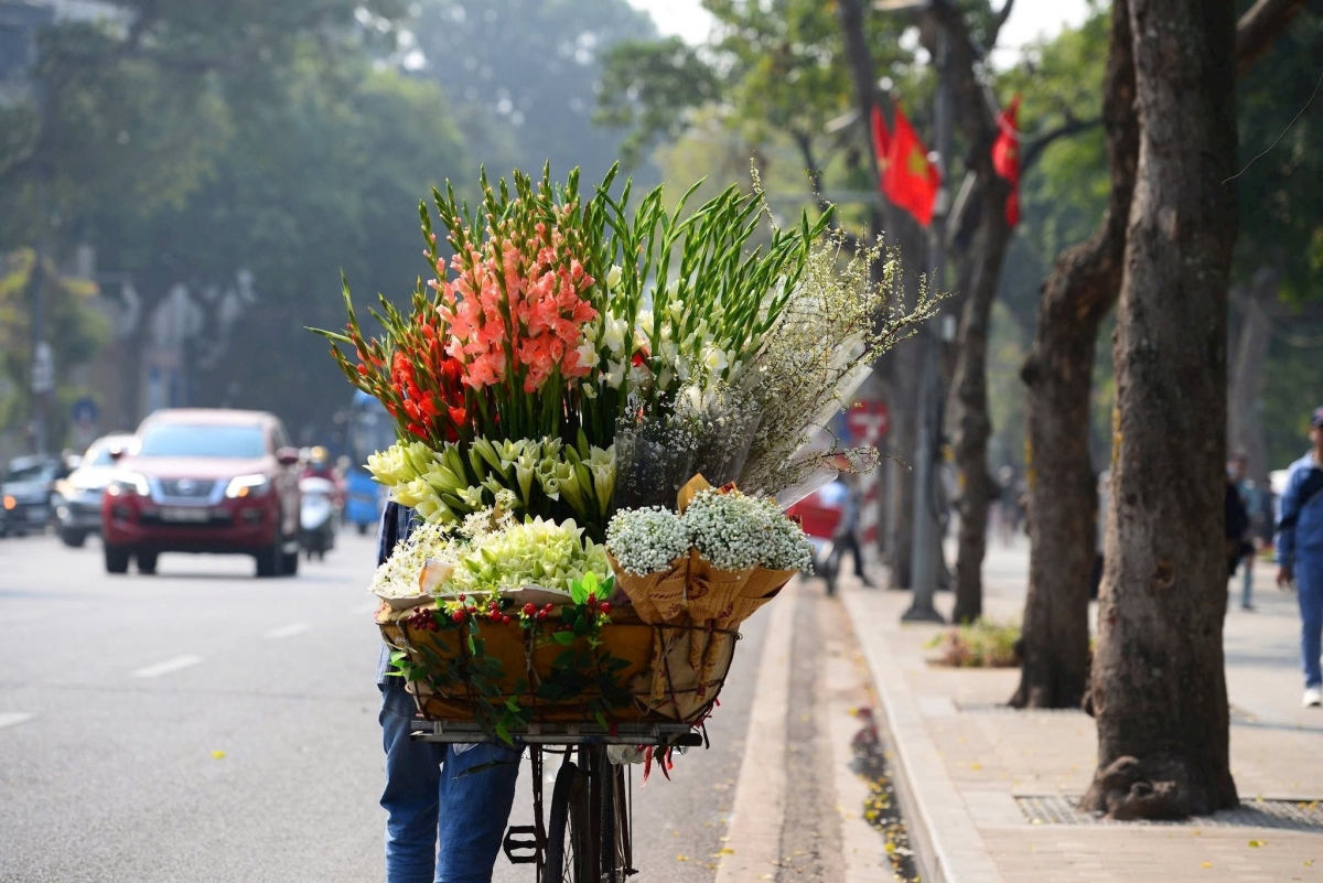 Thời tiết miền Bắc nắng và se lanh. Ảnh minh họa