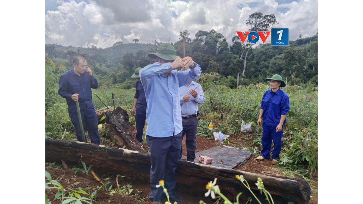 Hai hài cốt liệt sĩ được tìm thấy gần suối Ô Tôi, thuộc phum Tusvai, xã Đắk Đam, huyện Ô Răng, tỉnh Mondulkiri, Vương quốc Campuchia. (Ảnh: Đội K51, Bộ CHQS tỉnh Đắk Lắk)