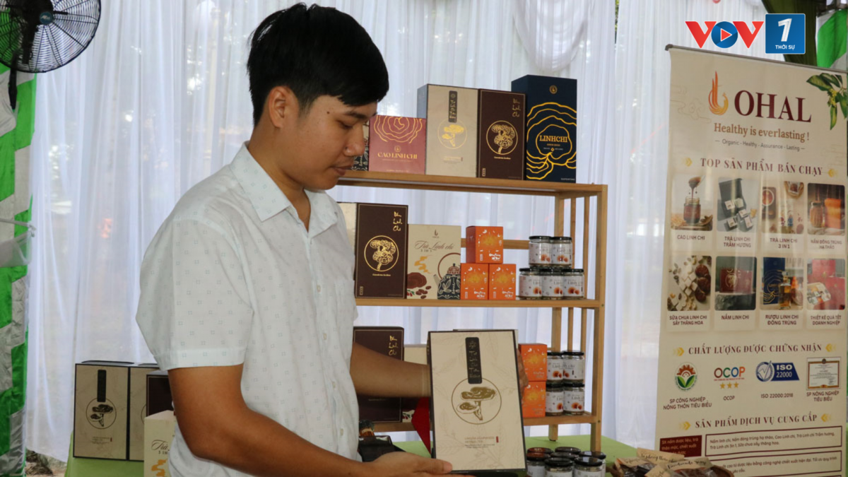 Sản phẩm linh chi của Công ty TNHH Thương mại và Dịch vụ OHAL (ảnh: Thiên Lý)