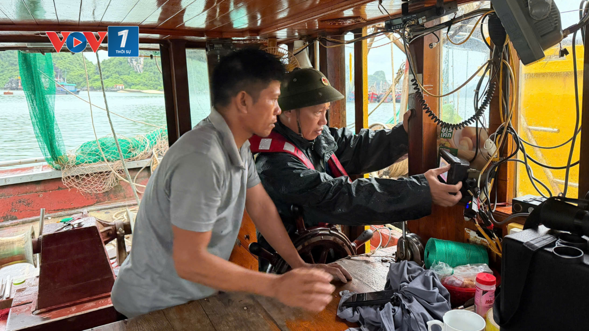 Các tàu cá hiện nay đều được quản lý bằng các thiết bị giám sát hành trình, nhật ký đánh bắt và hệ thống phần mềm truy xuất nguồn gốc số lượng cá khi cập cảng.